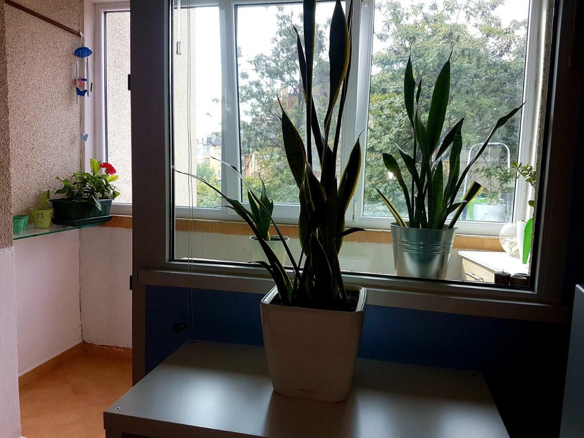Blue Room صوفيا المظهر الخارجي الصورة